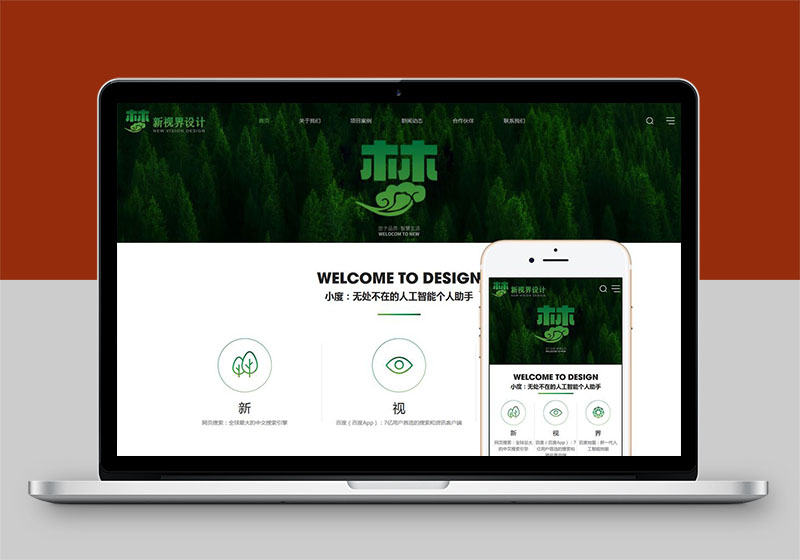 網(wǎng)站建設(shè)案例2