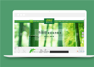 企業(yè)網(wǎng)站案例5