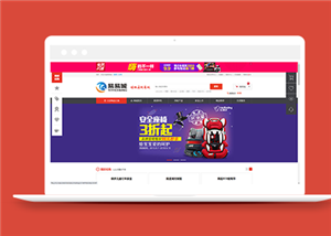 商務(wù)網(wǎng)站案例4