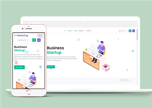 整站網(wǎng)站案例2