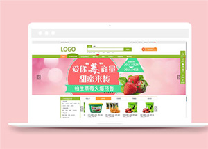 商城網(wǎng)站案例3