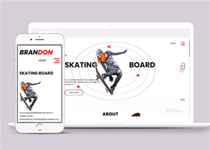 體育網(wǎng)站案例6