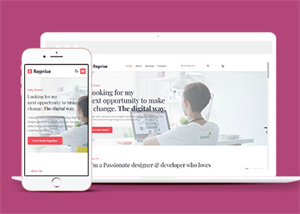 企業(yè)網(wǎng)站建設(shè)案例7