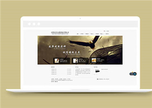 企業(yè)網(wǎng)站建設案例9