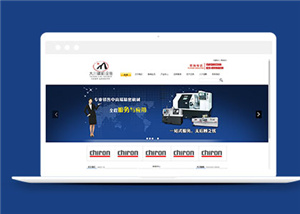 企業(yè)網(wǎng)站建設案例30