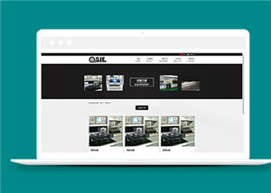 企業(yè)網(wǎng)站建設案例32