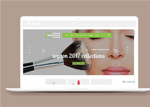 商城網(wǎng)站建設(shè)案例12