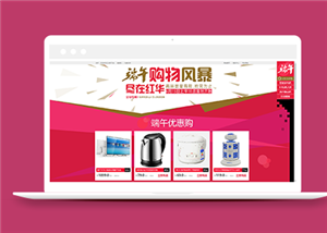 商務(wù)網(wǎng)站建設(shè)案例14