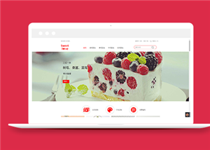 商城網(wǎng)站建設(shè)案例15