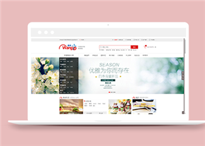 商城網(wǎng)站建設(shè)案例22