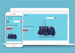 商城網(wǎng)站建設(shè)案例35