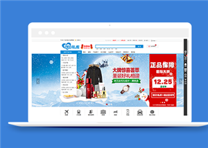 商城網(wǎng)站建設案例45