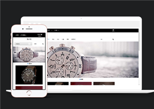 商城網站建設案例54