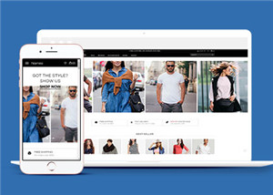 商城網站建設案例60