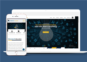 教育網(wǎng)站建設(shè)案例40