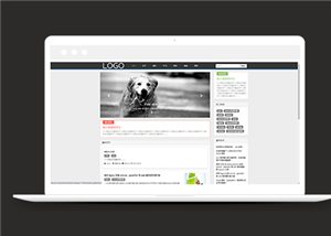 博客網(wǎng)站建設(shè)案例24