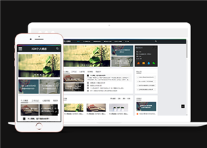 博客網(wǎng)站建設(shè)案例28