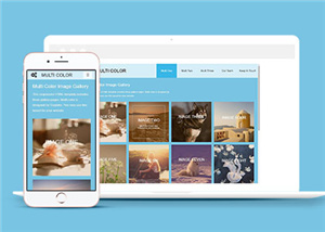 攝影網(wǎng)站建設(shè)案例17