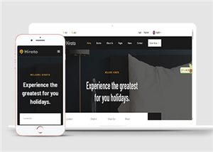 酒店網(wǎng)站建設(shè)案例37