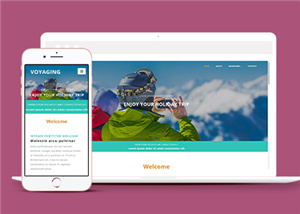 旅游網站建設案例10