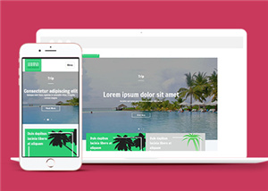 旅游網站建設案例19