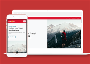 旅游網(wǎng)站建設(shè)案例23