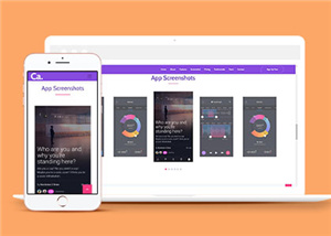 187紫色英文版軟件開發(fā)網(wǎng)站建設(shè)，中文商城APP以及小程序開發(fā)