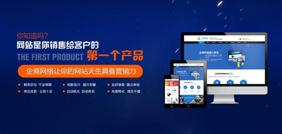 企業(yè)網站建設