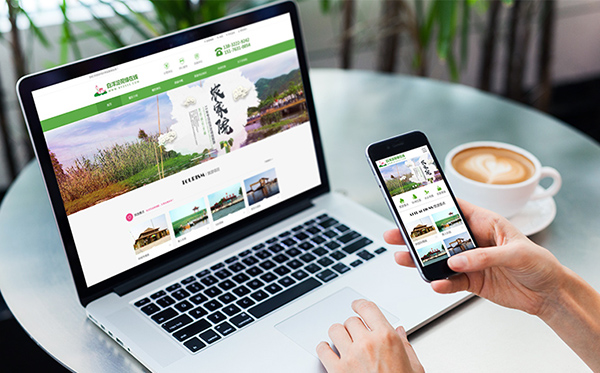 深圳網(wǎng)站建設(shè)