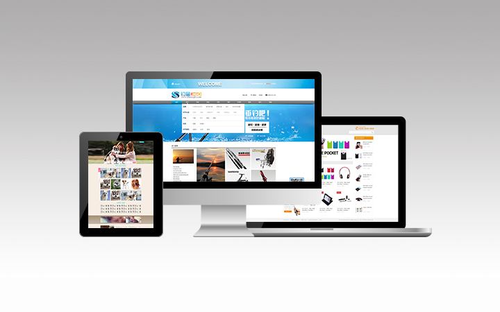 <b>商城網(wǎng)站建設：使用虛擬主機的后果分析</b>