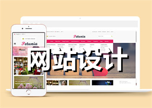 <b>網(wǎng)站設(shè)計(jì)的十二個(gè)基本解決方案</b>