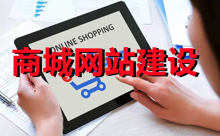 <b>電商網(wǎng)站建設(shè)關(guān)于程序應(yīng)用與數(shù)據(jù)庫(kù)服務(wù)器的選擇條件</b>