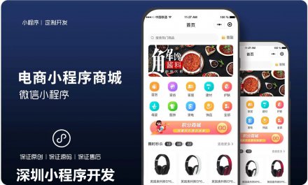 <b>小程序開發(fā)知識(shí)關(guān)于小程序的起源和概念</b>