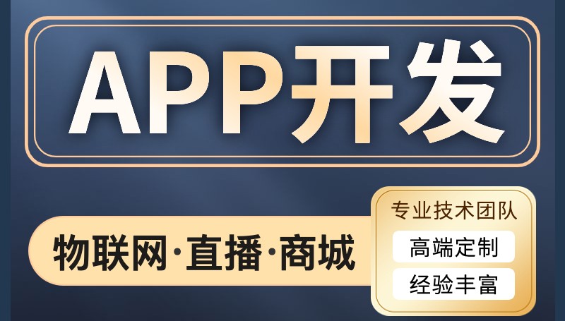 <b>APP開發(fā)公司詳解移動(dòng)互聯(lián)網(wǎng)下的APP應(yīng)用怎樣做好營(yíng)銷推廣</b>