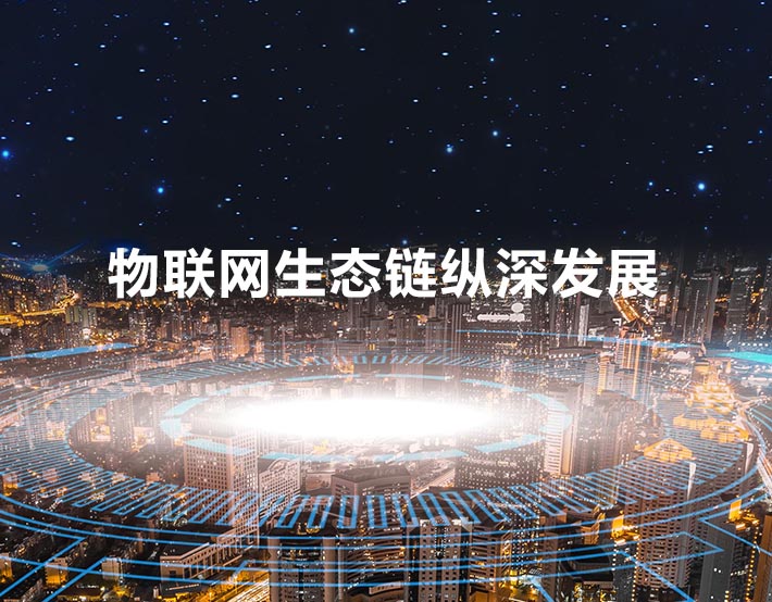 士達物聯(lián)網(wǎng)集團網(wǎng)站制作案例