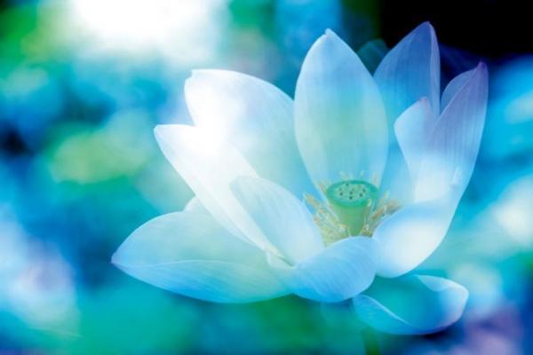 網(wǎng)站設(shè)計(jì)怎樣進(jìn)行鄰、同、冷、暖四色搭配經(jīng)驗(yàn)