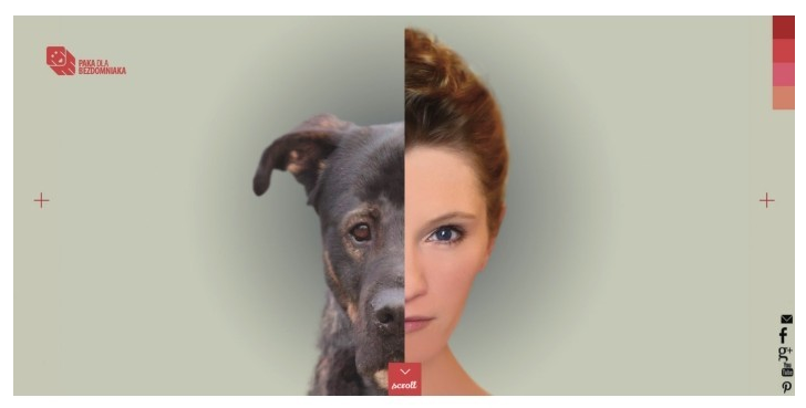 網(wǎng)頁視覺設(shè)計(jì)的一致性和創(chuàng)意性