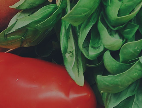 愛家商城網(wǎng)站項目建設(shè)制作中