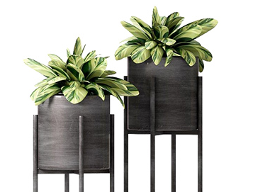 無(wú)二家居APP開(kāi)發(fā)項(xiàng)目制作中