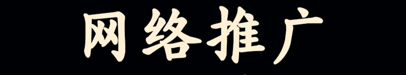 網(wǎng)站推廣公司淺析蜘蛛爬蟲(chóng)又可以分為哪些類型？